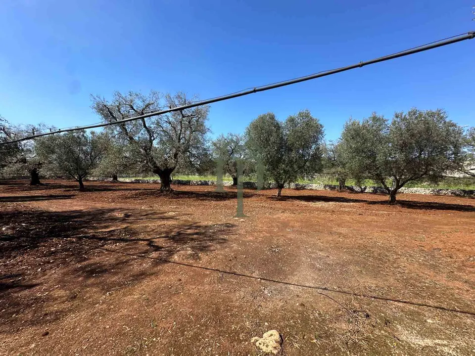Ruinere i San Vito dei Normanni, Brindisi - foto 3
